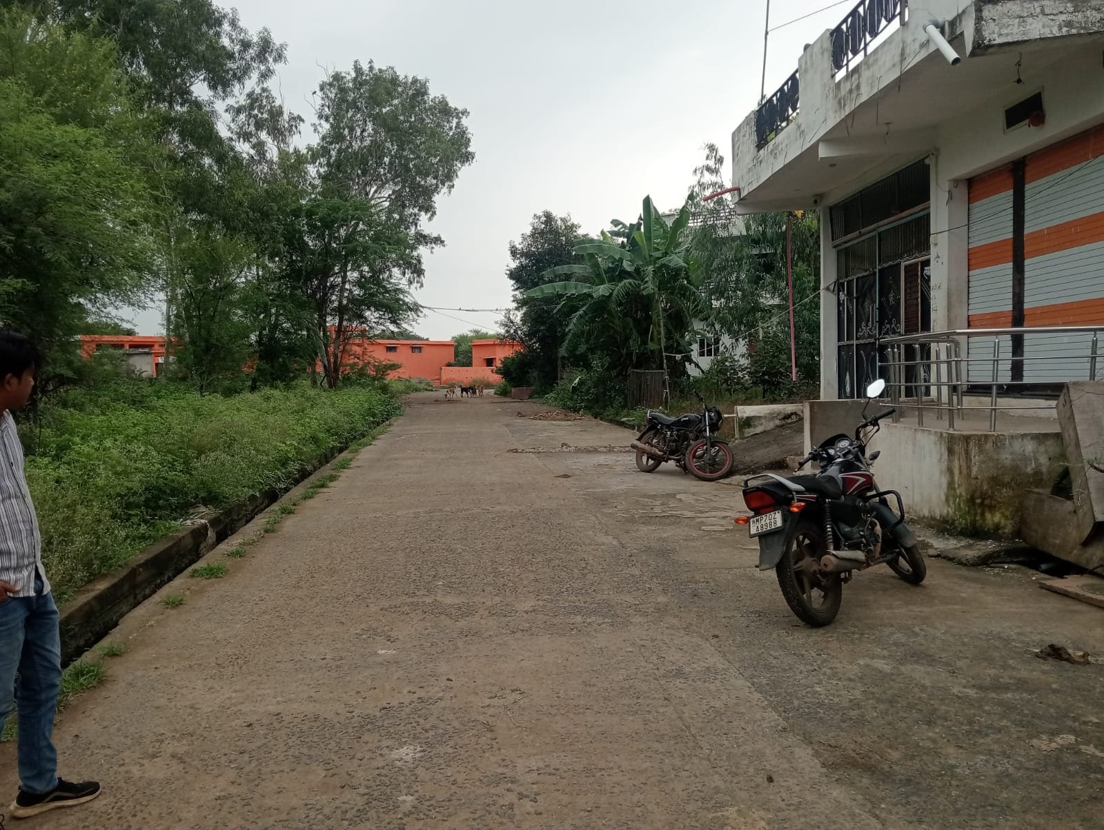 Resident and comercial polt 2