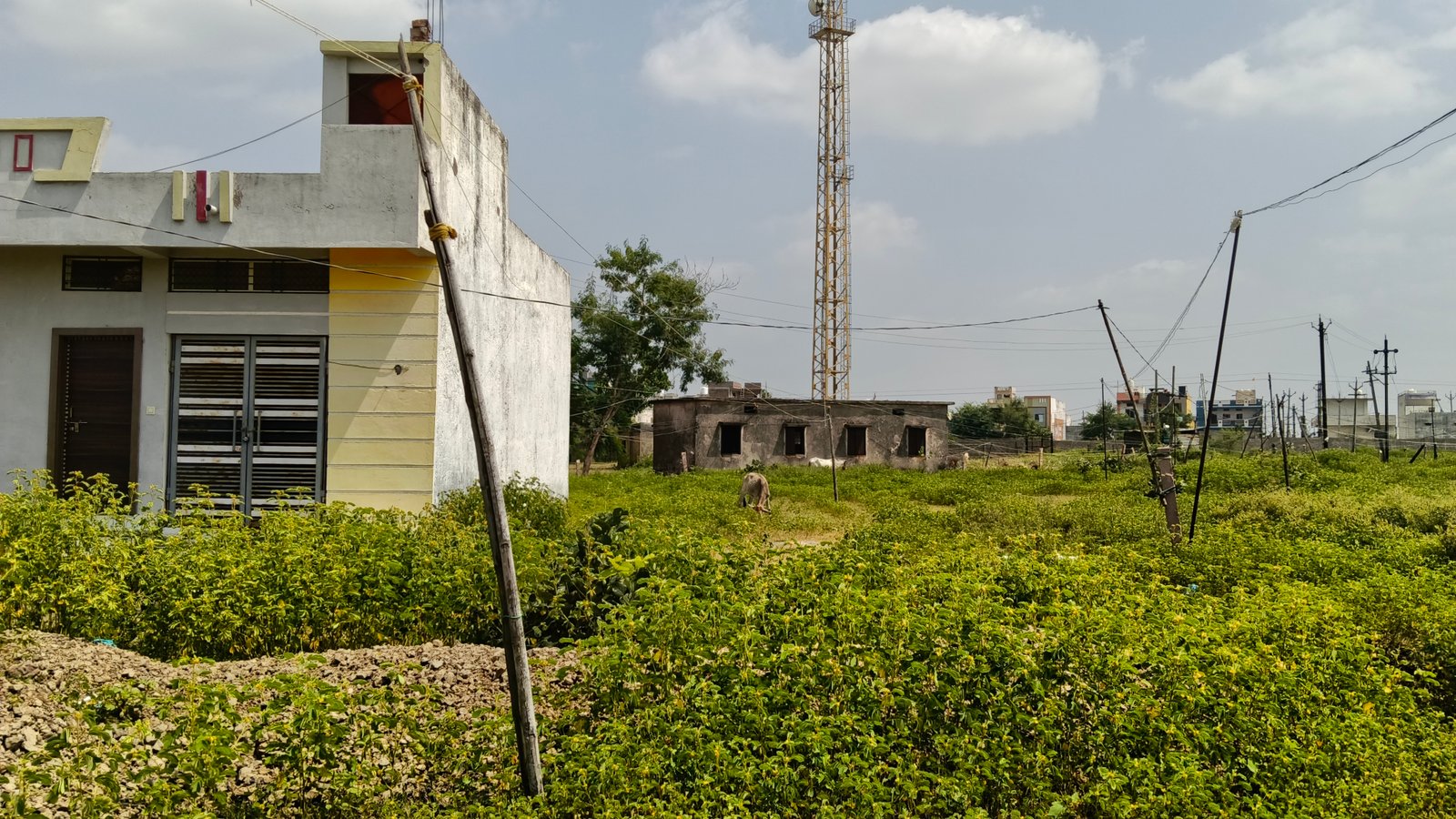 Residential plot 1